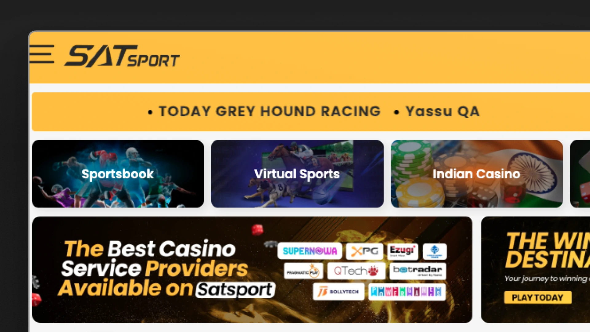 image Standout Features SATSport india