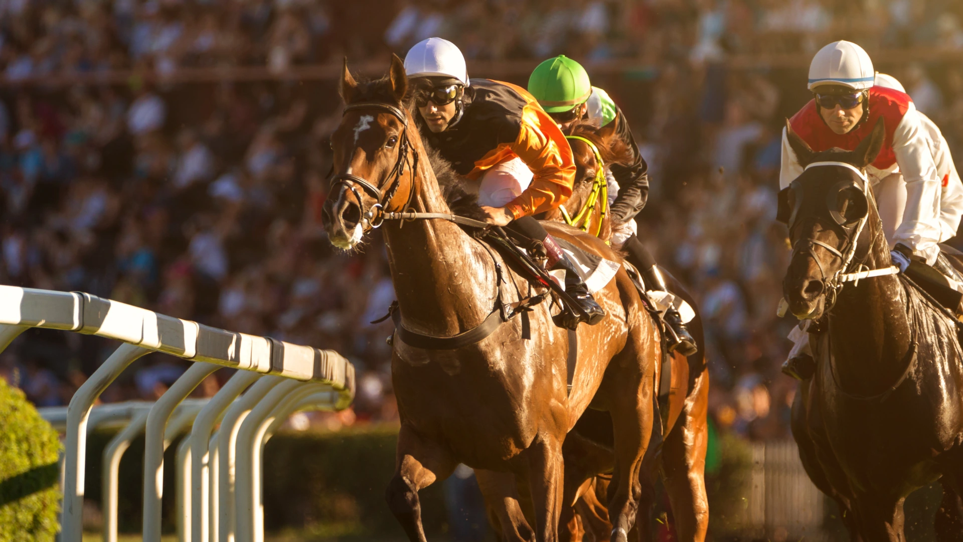 image Our Favourite Horse Racing Free Bets